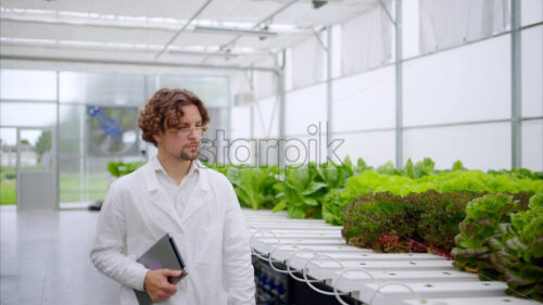 VIDEO Laboratory technician in a white coat, holding a tablet while analysing plants grown with the Hydroponic method in a greenhouse - Starpik