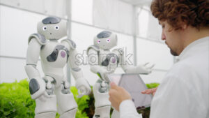 VIDEO Laboratory technician in a white coat holding a tablet while analysing two humanoid robots in a greenhouse farm - Starpik