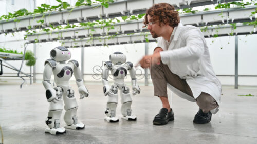 VIDEO Laboratory technician in a white coat interacting with two humanoid robots in a greenhouse farm - Starpik