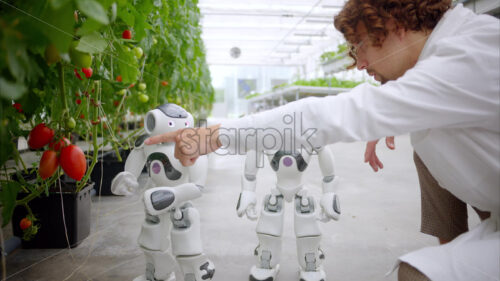 VIDEO Laboratory technician in a white coat interacting with two humanoid robots in a greenhouse farm - Starpik