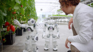 VIDEO Laboratory technician in a white coat interacting with two humanoid robots in a greenhouse farm - Starpik