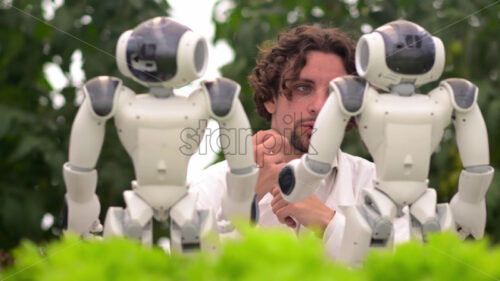 VIDEO Laboratory technician in a white coat interacting with two humanoid robots near different types of lettuce in a greenhouse farm - Starpik