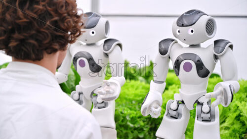 VIDEO Laboratory technician in a white coat interacting with two humanoid robots near different types of lettuce in a greenhouse farm - Starpik