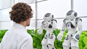 VIDEO Laboratory technician in a white coat interacting with two humanoid robots near different types of lettuce in a greenhouse farm - Starpik