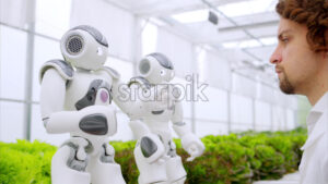 VIDEO Laboratory technician in a white coat interacting with two humanoid robots near different types of lettuce in a greenhouse farm - Starpik