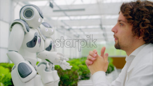 VIDEO Laboratory technician in a white coat interacting with two humanoid robots near different types of lettuce in a greenhouse farm - Starpik