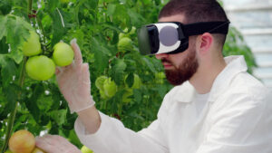 VIDEO Laboratory technician in a white coat wearing a Virtual Reality headset, analysing tomatoes grown in a greenhouse - Starpik