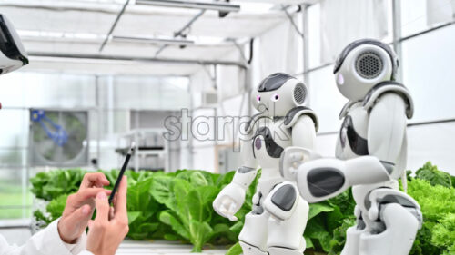 VIDEO Laboratory technician in a white coat wearing virtual reality headset analysing graphs on a tablet while interacting with two humanoid robots in a greenhouse farm - Starpik