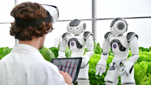 VIDEO Laboratory technician in a white coat wearing virtual reality headset analysing graphs on a tablet while interacting with two humanoid robots in a greenhouse farm - Starpik