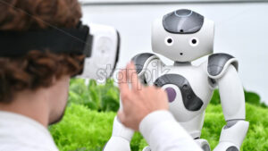 VIDEO Laboratory technician in a white coat wearing virtual reality headset interacting with humanoid robot near different types of lettuce in a greenhouse farm - Starpik