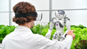 VIDEO Laboratory technician in a white coat wearing virtual reality headset interacting with humanoid robot near different types of lettuce in a greenhouse farm - Starpik