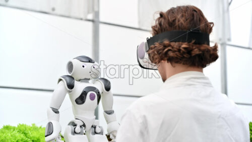 VIDEO Laboratory technician in a white coat wearing virtual reality headset interacting with humanoid robot near different types of lettuce in a greenhouse farm - Starpik