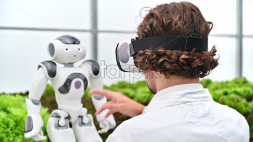 VIDEO Laboratory technician in a white coat wearing virtual reality headset interacting with humanoid robot near different types of lettuce in a greenhouse farm - Starpik