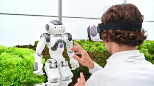 VIDEO Laboratory technician in a white coat wearing virtual reality headset interacting with humanoid robot near different types of lettuce in a greenhouse farm - Starpik