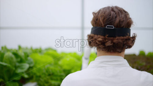 VIDEO Laboratory technician in a white coat wearing virtual reality headset interacting with humanoid robot near different types of lettuce in a greenhouse farm - Starpik