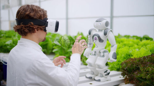 VIDEO Laboratory technician in a white coat wearing virtual reality headset interacting with humanoid robot near different types of lettuce in a greenhouse farm - Starpik