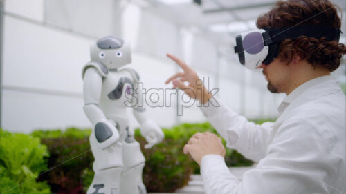 VIDEO Laboratory technician in a white coat wearing virtual reality headset interacting with humanoid robot near different types of lettuce in a greenhouse farm - Starpik