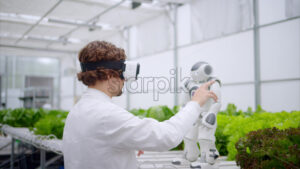 VIDEO Laboratory technician in a white coat wearing virtual reality headset interacting with humanoid robot near different types of lettuce in a greenhouse farm - Starpik