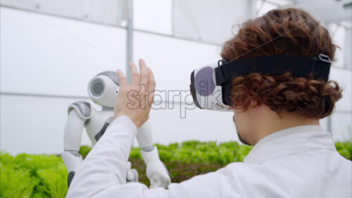 VIDEO Laboratory technician in a white coat wearing virtual reality headset interacting with humanoid robot near different types of lettuce in a greenhouse farm - Starpik