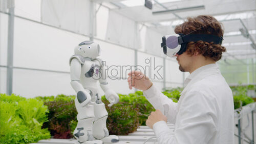 VIDEO Laboratory technician in a white coat wearing virtual reality headset interacting with humanoid robot near different types of lettuce in a greenhouse farm - Starpik