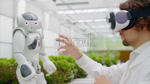 VIDEO Laboratory technician in a white coat wearing virtual reality headset interacting with humanoid robot near different types of lettuce in a greenhouse farm - Starpik