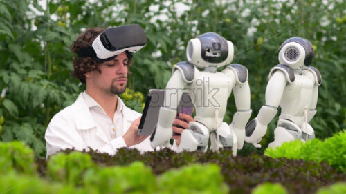 VIDEO Laboratory technician in a white coat with virtual reality headset holding a tablet while analysing two humanoid robots in a greenhouse farm - Starpik