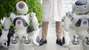 VIDEO Two humanoid robots and a laboratory technician standing near rows of tomatoes in a greenhouse farm - Starpik