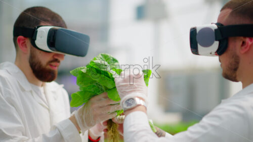 VIDEO Two laboratory technicians in white coats wearing Virtual Reality headsets, analysing lettuce grown with the Hydroponic method in a greenhouse - Starpik