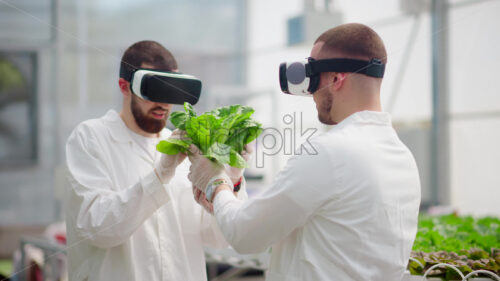 VIDEO Two laboratory technicians in white coats wearing Virtual Reality headsets, analysing lettuce grown with the Hydroponic method in a greenhouse - Starpik