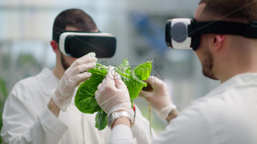 VIDEO Two laboratory technicians in white coats wearing Virtual Reality headsets, analysing lettuce grown with the Hydroponic method in a greenhouse - Starpik