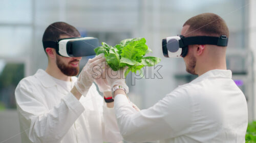 VIDEO Two laboratory technicians in white coats wearing Virtual Reality headsets, analysing lettuce grown with the Hydroponic method in a greenhouse - Starpik