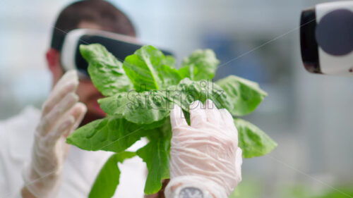 VIDEO Two laboratory technicians in white coats wearing Virtual Reality headsets, analysing lettuce grown with the Hydroponic method in a greenhouse - Starpik