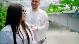VIDEO Two laboratory technicians in white coats working with wild strawberry grown with the Hydroponic method in a greenhouse - Starpik
