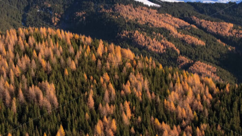 Video Aerial drone view of the Carpathian Mountains, near Brasov, Romania - Starpik