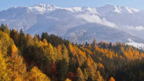 Video Aerial drone view of the Carpathian Mountains, near Brasov, Romania - Starpik