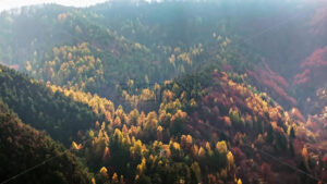 Video Aerial drone view of the Carpathian Mountains, near Brasov, Romania - Starpik