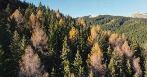 Video Aerial drone view of the Carpathian Mountains, near Brasov, Romania - Starpik