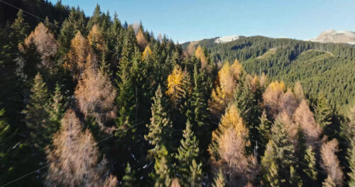 Video Aerial drone view of the Carpathian Mountains, near Brasov, Romania - Starpik