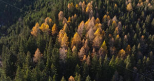 Video Aerial drone view of the Carpathian Mountains, near Brasov, Romania - Starpik