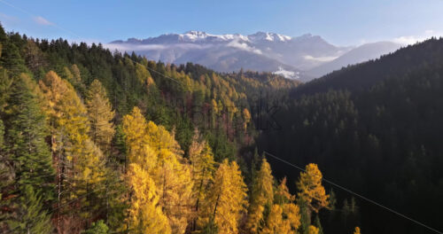 Video Aerial drone view of the Carpathian Mountains, near Brasov, Romania - Starpik