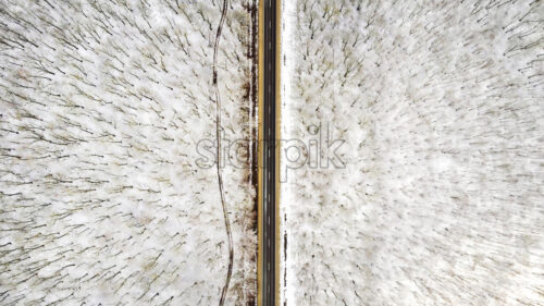 Aerial drone vertical view of nature in winter in Moldova. Road going through multiple bare trees covered with snow - Starpik