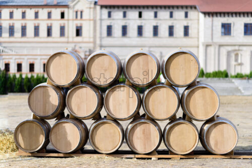 Arranged lines of wood wine barrels in Mimi Castle. Anenii noi, Moldova - Starpik