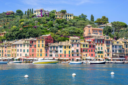 Beautiful daylight view to ships on water and buildings in Portofino city - Starpik