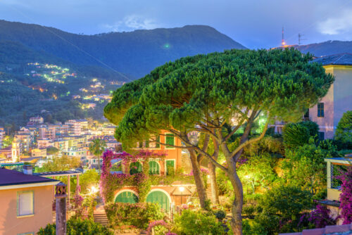 Beautiful night view from balcony to green tree and Santa Marghe - Starpik