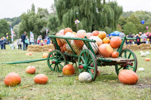 Big pile of pumpkins on hay in a wooden cart the season of harvest on the farm thanksgiving at a festival in Moldova - Starpik