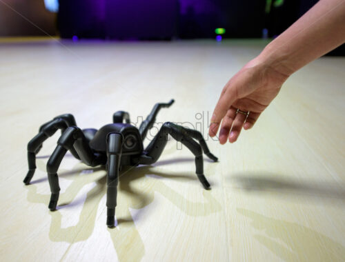 CHISINAU, MOLDOVA-5 MARCH, 2019: exhibition of robots and engineering creations, black robot spider goes to the floor - Starpik