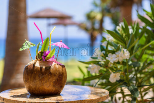 Coconut fruit on a table - Starpik