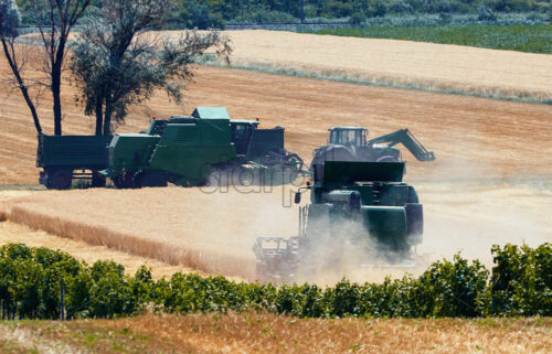 Combine harvesters working in the field in autumn season. Austria - Starpik