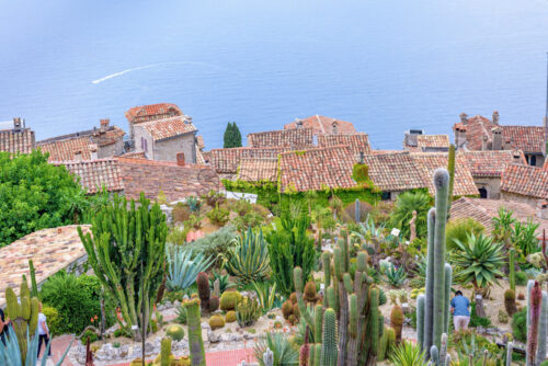 Daylight foggy view to Eze village with botanical garden full of cactuses - Starpik