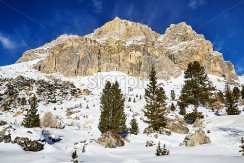 Dolomite mountains covered in snow. View from bottom. Italy - Starpik